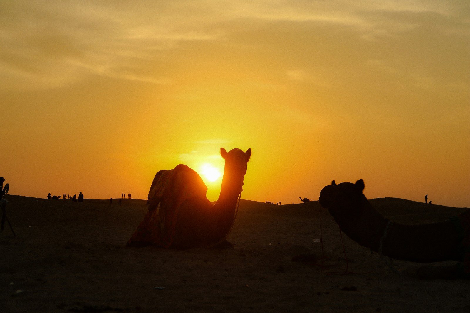 Jaisalmer tour package desert landscape